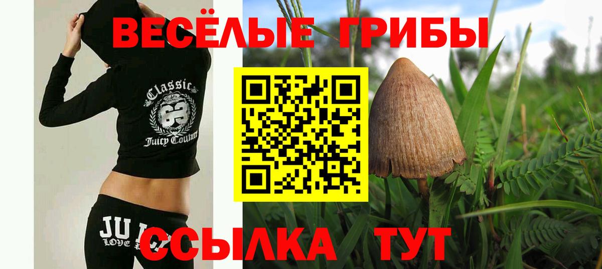 Псилоцибиновые грибы ЛСД  где найти   Кстово  Вход с VPN  Галлюциногенные грибы Cubensis 